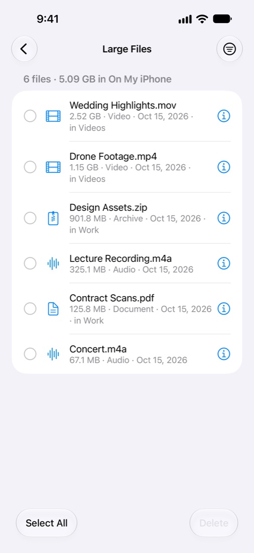 Large files list with sizes and folders
